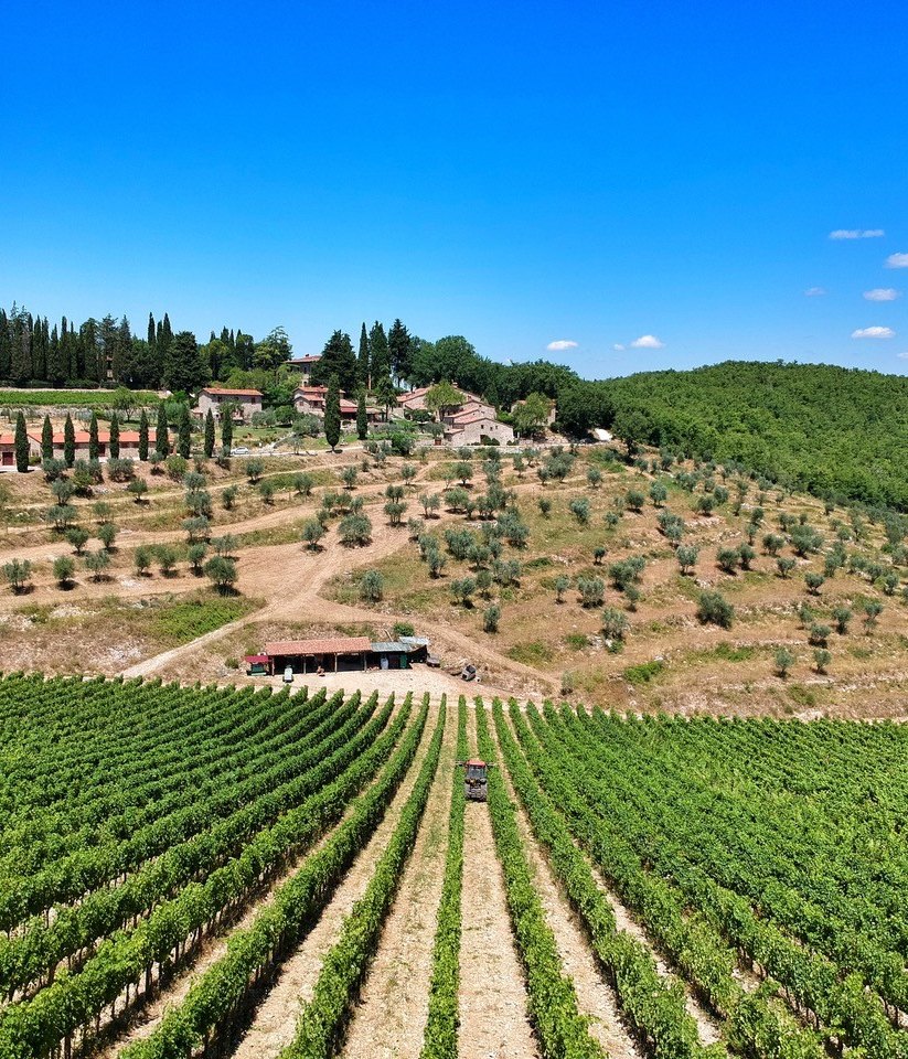 Querceto di Castellina, domaine dans le Chianti